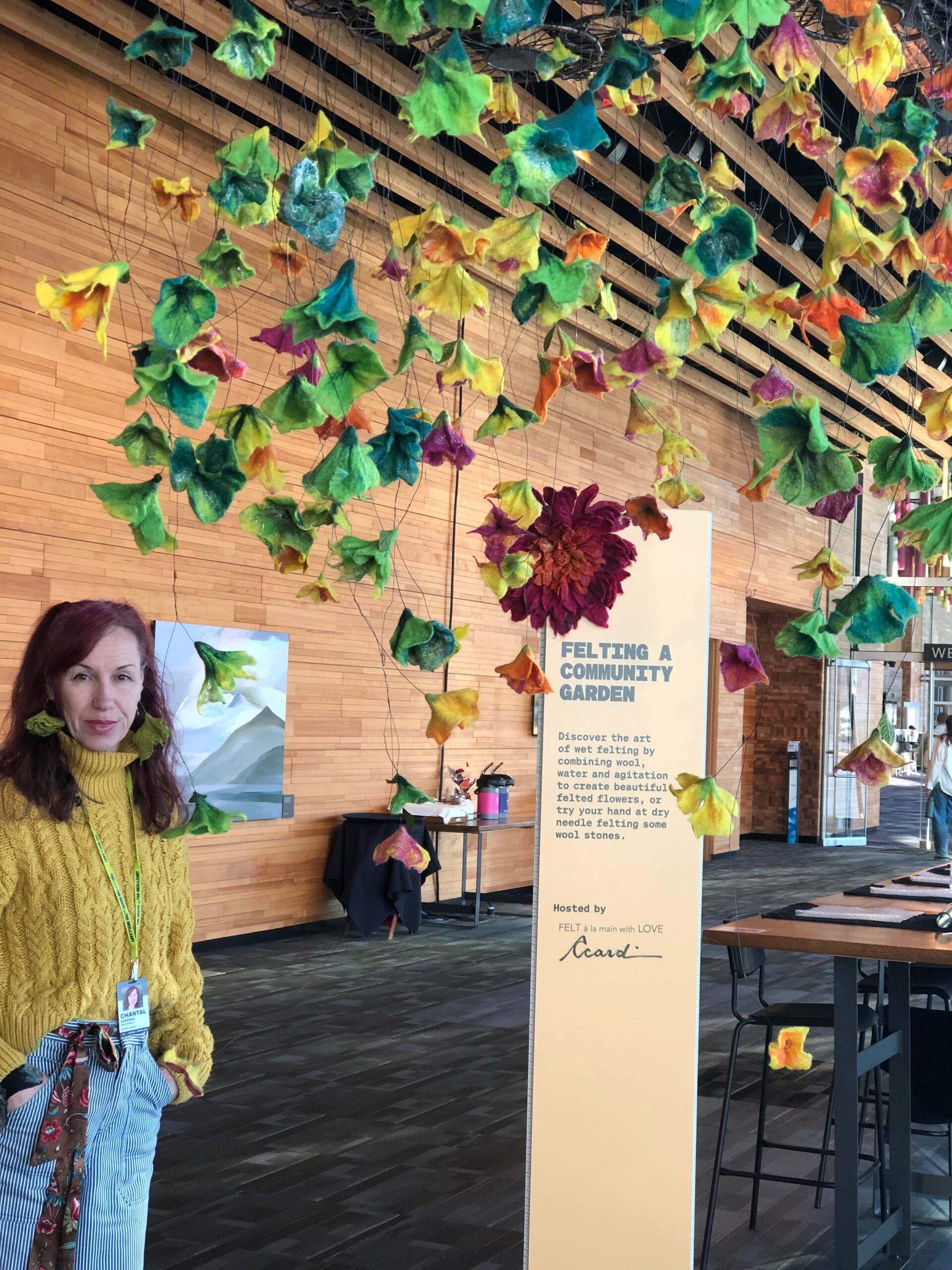 TED(2024) - C Card copie